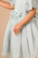 Pale Green Party Dress