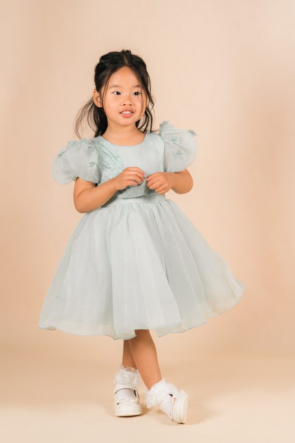 Pale Green Party Dress