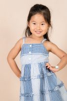 Classic Check Summer Dress