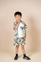 Geometric Cabin Print Set
