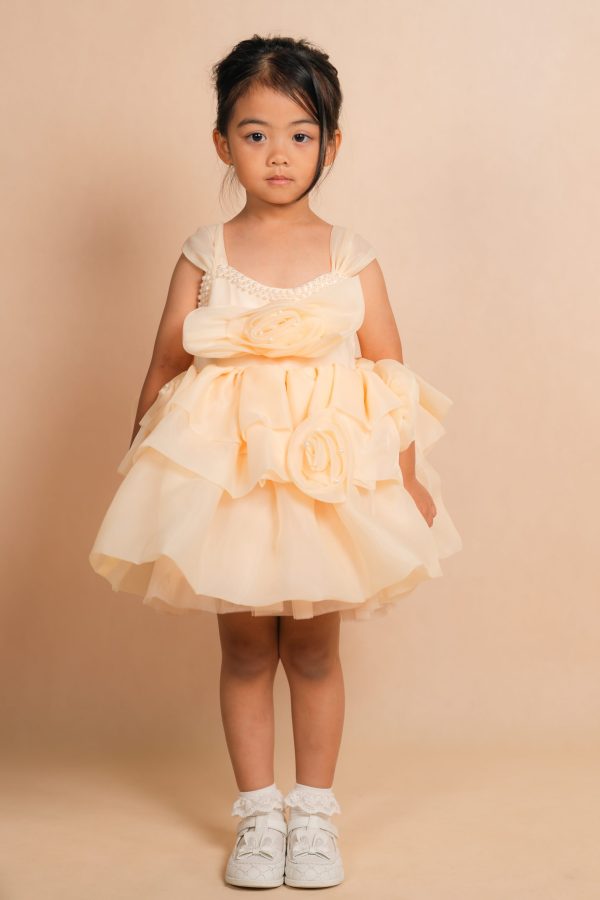 Floral Pearl Party Dress