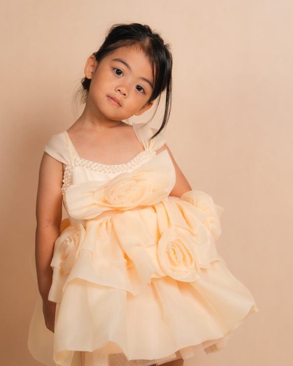 Floral Pearl Party Dress