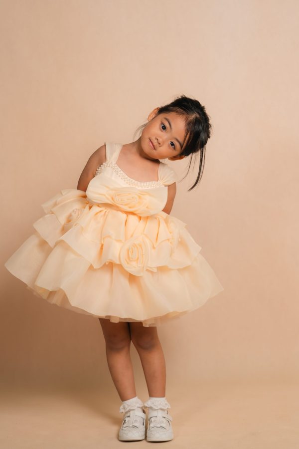Floral Pearl Party Dress
