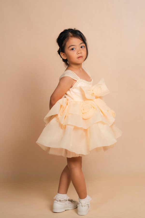 Floral Pearl Party Dress
