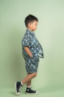Boys Printed Short Shirt Sets