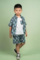 Boys Printed Short Shirt Sets