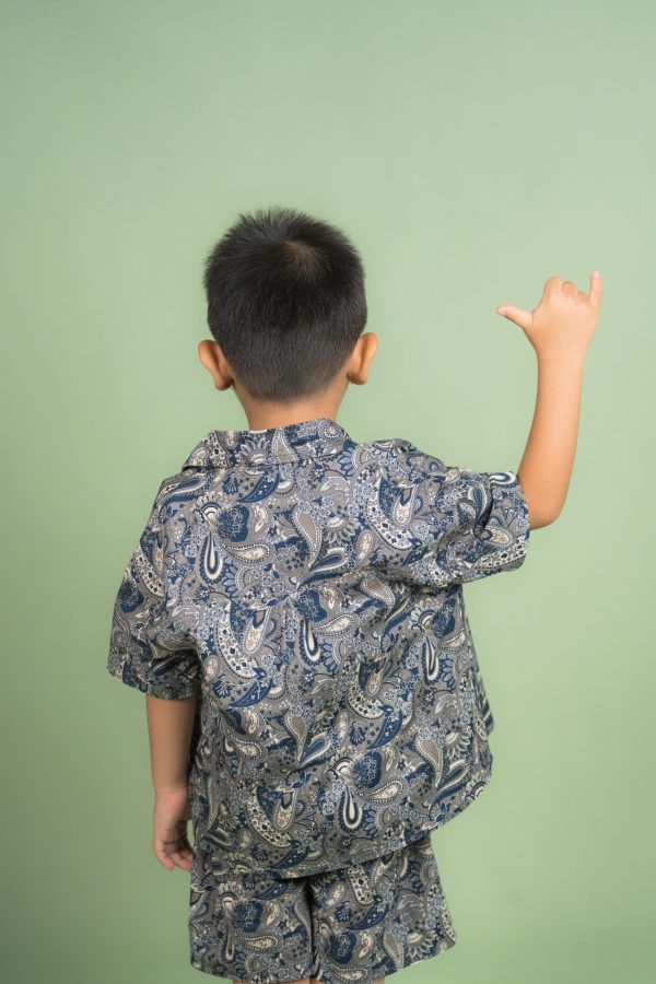 Boys Printed Short Shirt Sets