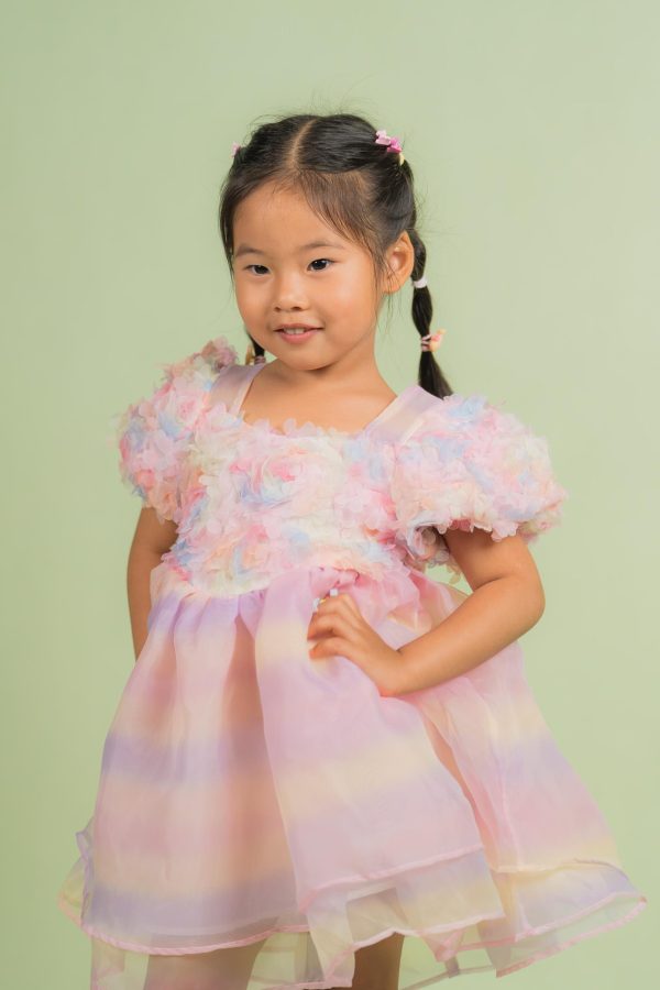 Rainbow Petal Tulle Dress
