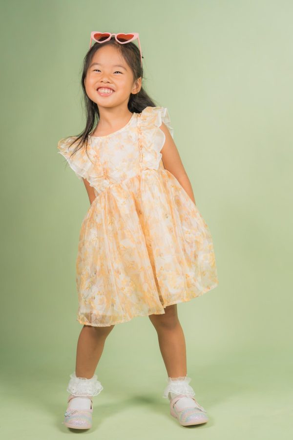 Yellow Floral Ruffle Dress