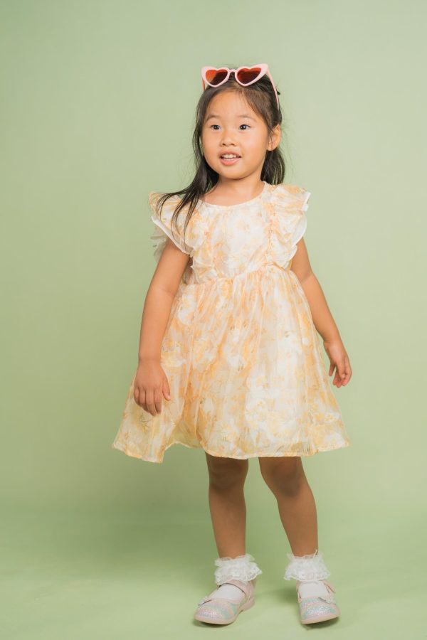 Yellow Floral Ruffle Dress
