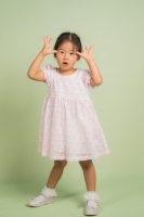 Pearly Pink Lace Dress